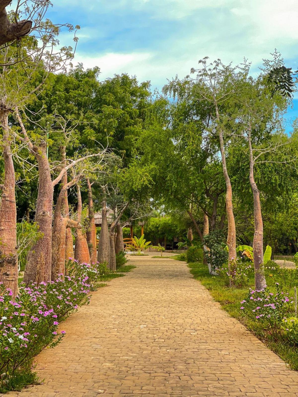 Vovo Telo Lodge Toliara Exterior foto